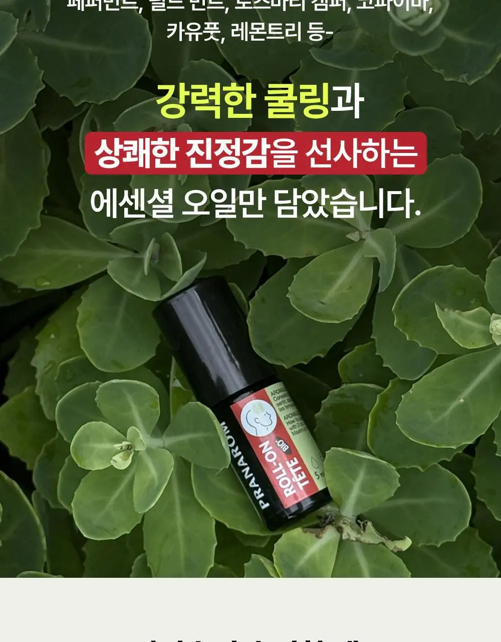 프라나롬 아로말직 쿨링 롤온 5ml 상세페이지 7