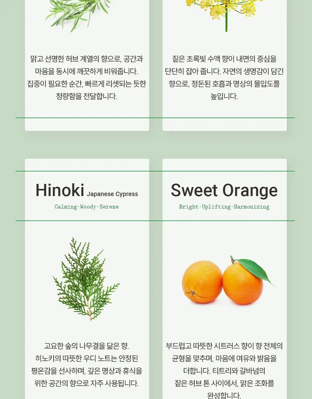 피부피부 아로마 블랜디드 에센셜 오일 10ml 니르바나 상세페이지 4