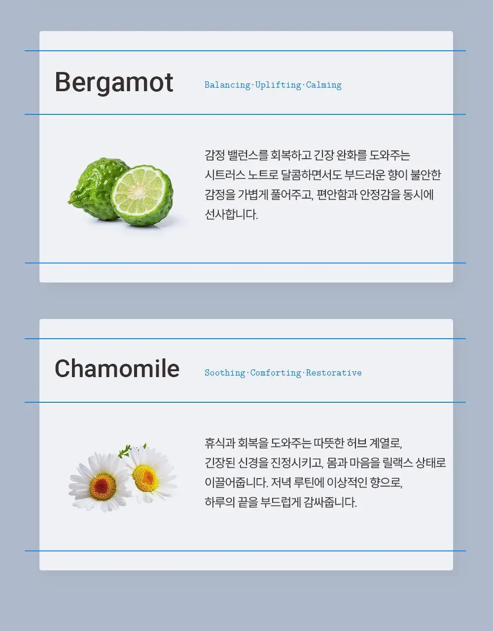 피부피부 아로마 블랜디드 에센셜 오일 10ml 이브나잇 상세페이지 3