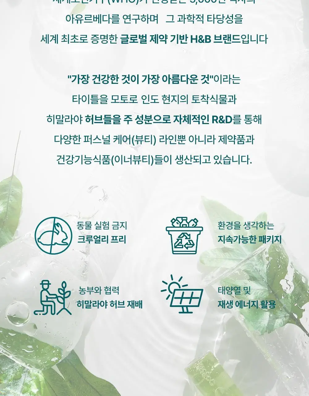 히말라야 콜드 릴리프 밤 10g 상세페이지 20