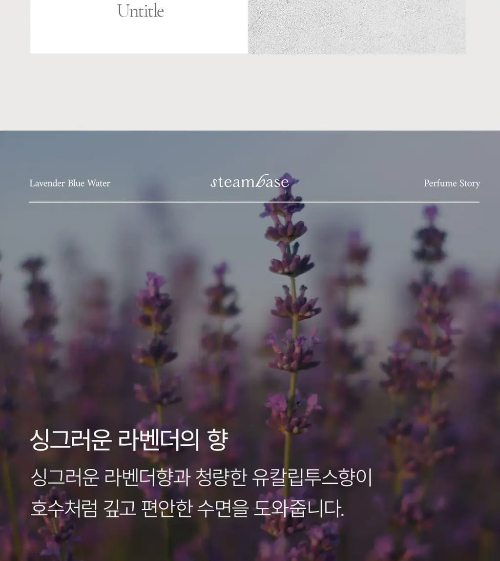 스팀베이스 데일리 아이마스크 15매입 3종 (3가지향 택1) 상세페이지 32