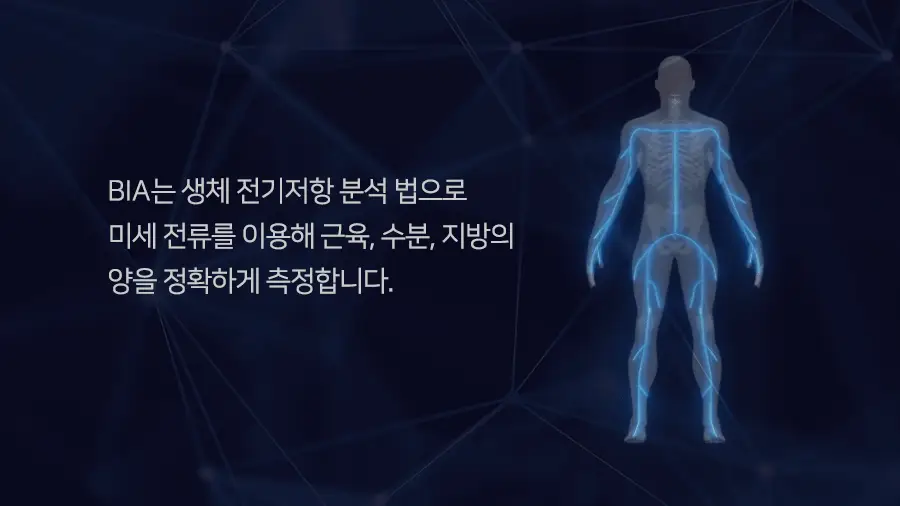 무아스 스마트 헬스케어 LCD 체지방 체중계 가정용 체성분 디지털 프로 상세페이지 12