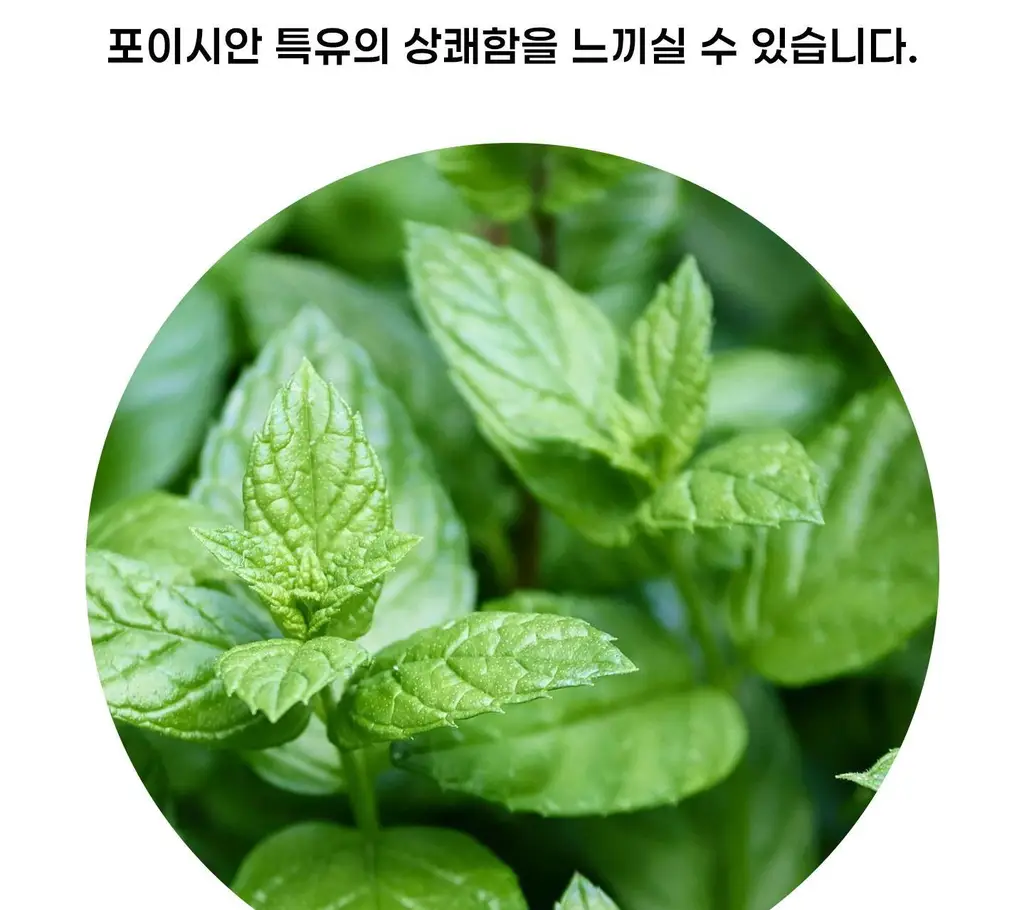 포이시안 마크2 야돔 1.7ml (1개입/6개입) 상세페이지 7