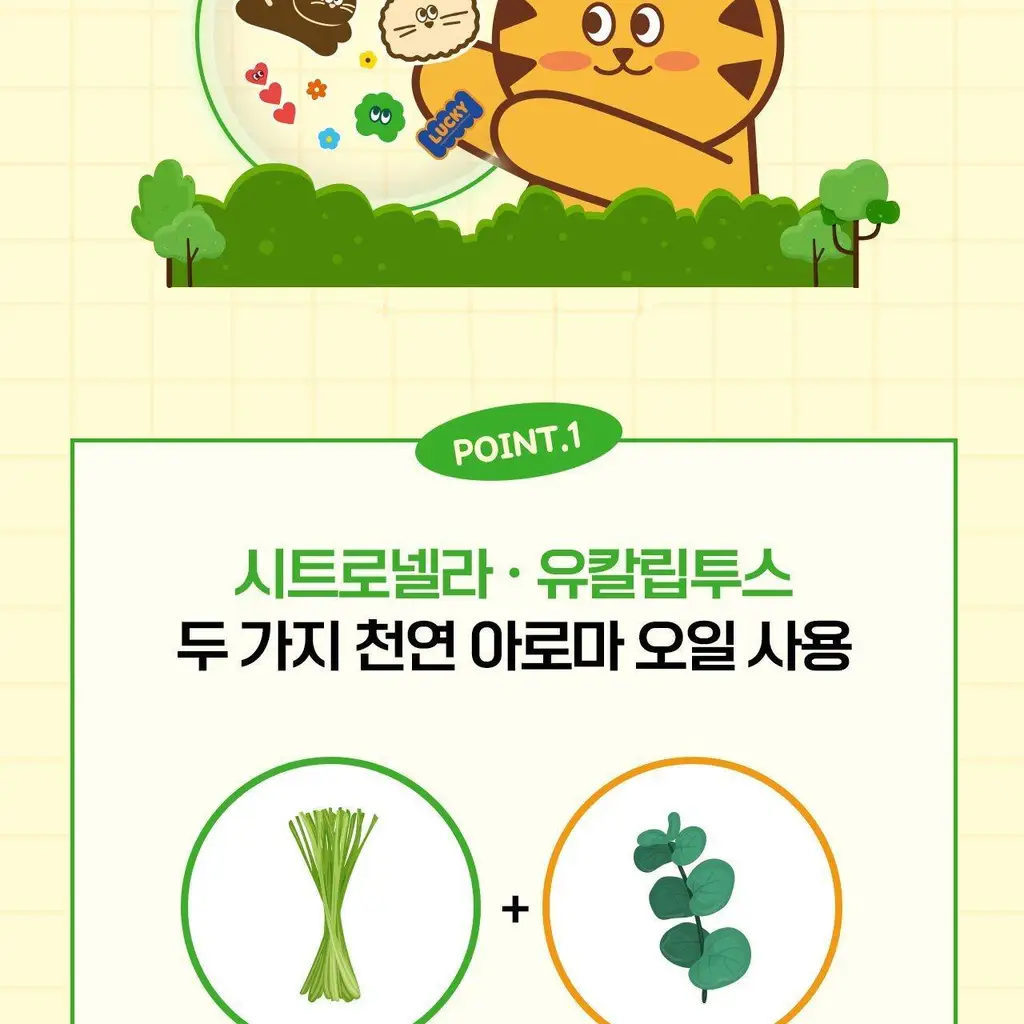 마데카 썸머 향 패치 빅 12매 상세페이지 4