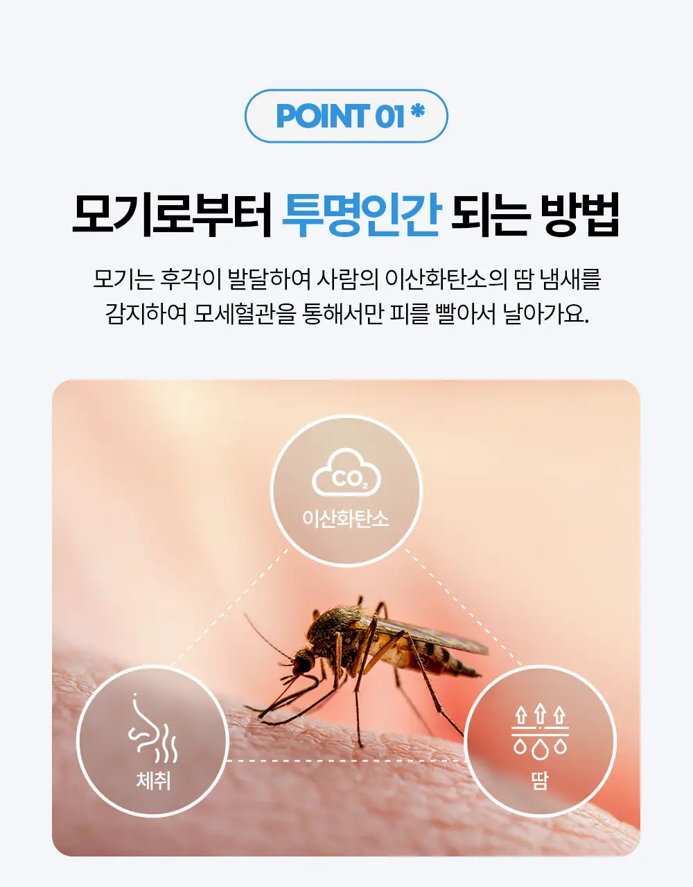 모키토 모키밤/스프레이/패치(S/L) 4종 상세페이지 34