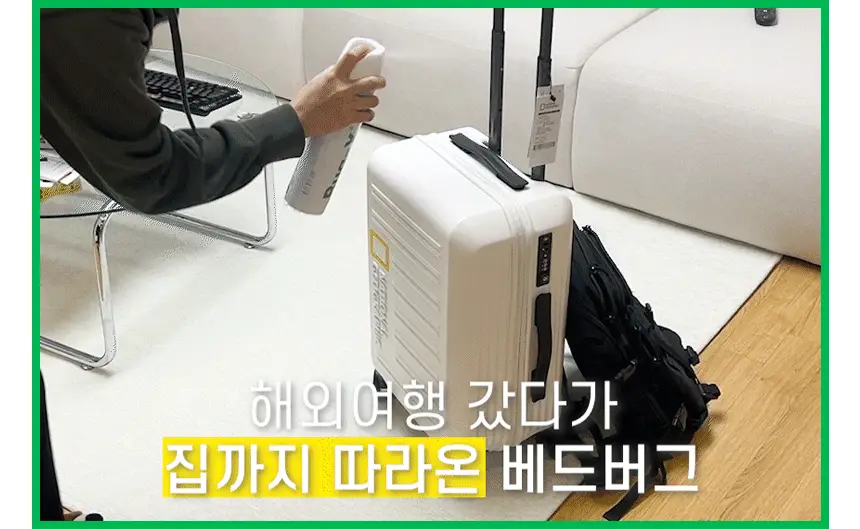 버그엑스 천연성분 살충제 100ml(휴대용) 상세페이지 7
