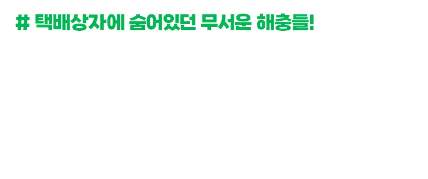 버그엑스 천연성분 살충제 100ml(휴대용) 상세페이지 10