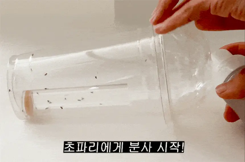 버그엑스 천연성분 살충제 100ml(휴대용) 상세페이지 16
