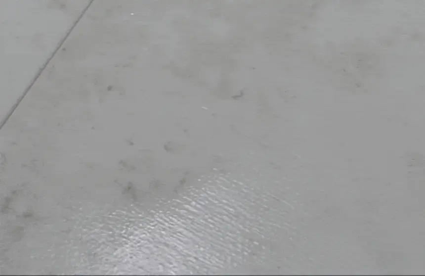 버그엑스 천연성분 살충제 100ml(휴대용) 상세페이지 26