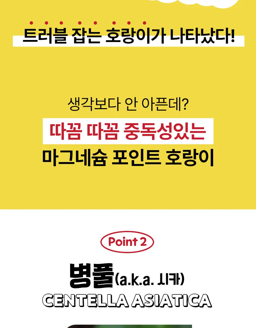 스노우투플러스 따꼼 호랑이 트러블 패치(중형 패치 6매+클리어 패치 45매) 상세페이지 30