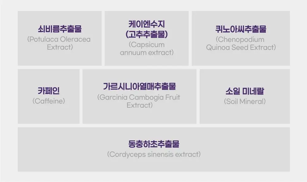 에셀라이트 멀티패치 5.0 6.5g X 10매 상세페이지 11